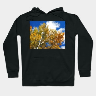 Blue Rocky Mountain Skies and Golden Aspen Trees in fall Hoodie